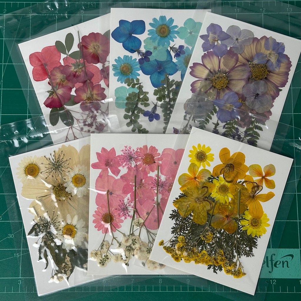 🇹🇭พร้อมส่ง | เซ็ตดอกไม้ทับแห้ง ดอกไม้จริง สำหรับเรซิ่น DIY ตกแต่งการ์ด Pressed Flowers 🌸