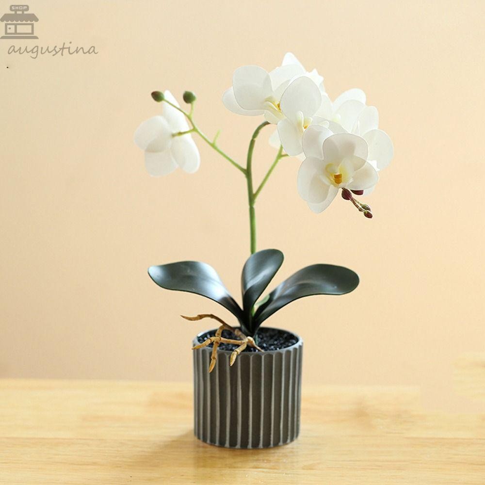 AUGUSTINA กล้วยไม้ประดิษฐ์ดอกไม้บอนไซ, สมจริงด้วยใบประดิษฐ์ Phalaenopsis กระถางบอนไซ, 8 ดอกไม้ขั้นสูงปลอมกล้วยไม้ตกแต่งสวนบ้าน