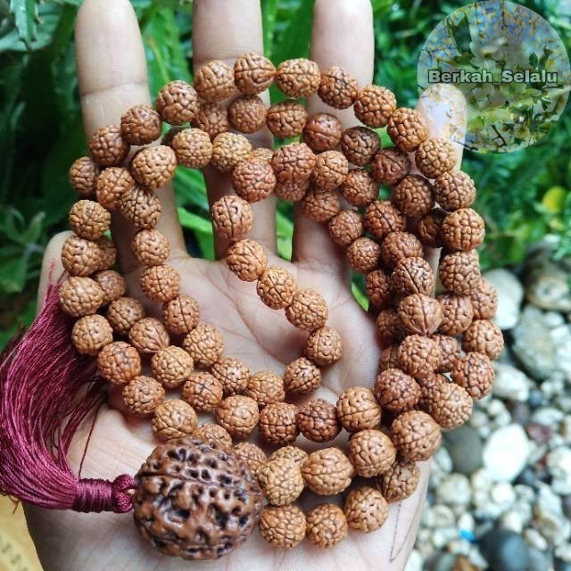 ลูกปัดอธิษฐาน Jenitri Rudraksha ดั้งเดิม 108 เมล็ดขนาด 8-10 มม. Berkah_Alway