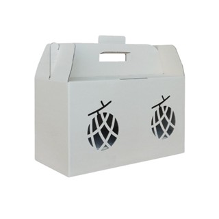 กล่องลูกฟูก 3 ชั้น 20.50x42.50x24.00cm (กล่องเมล่อน+แผ่นรอง …