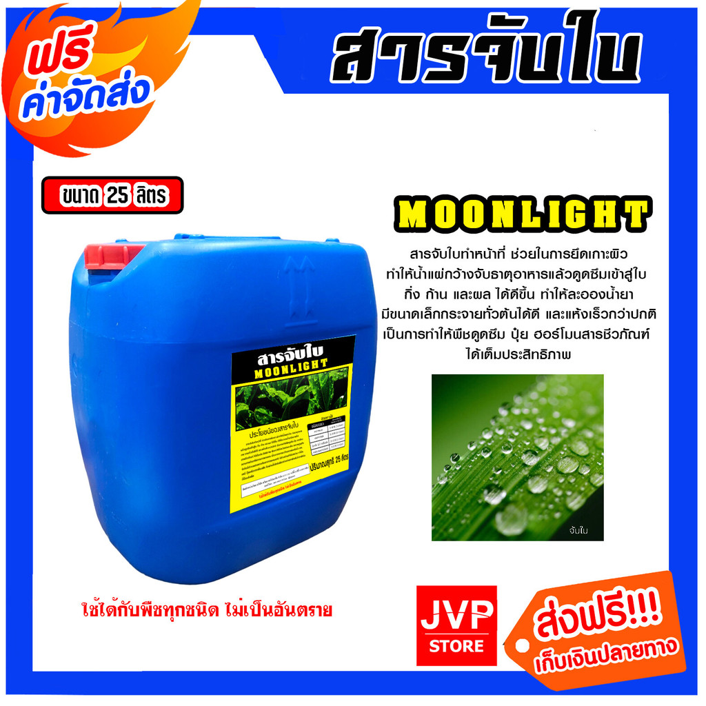 สารจับใบ ขนาด 25ลิตร Moonlight สารจับใบสูตรพิเศษ ยึกเกาะแน่น ยาจับใบ ติดทน ซึมซับเร็ว จับใบเข้ม ของแท้
