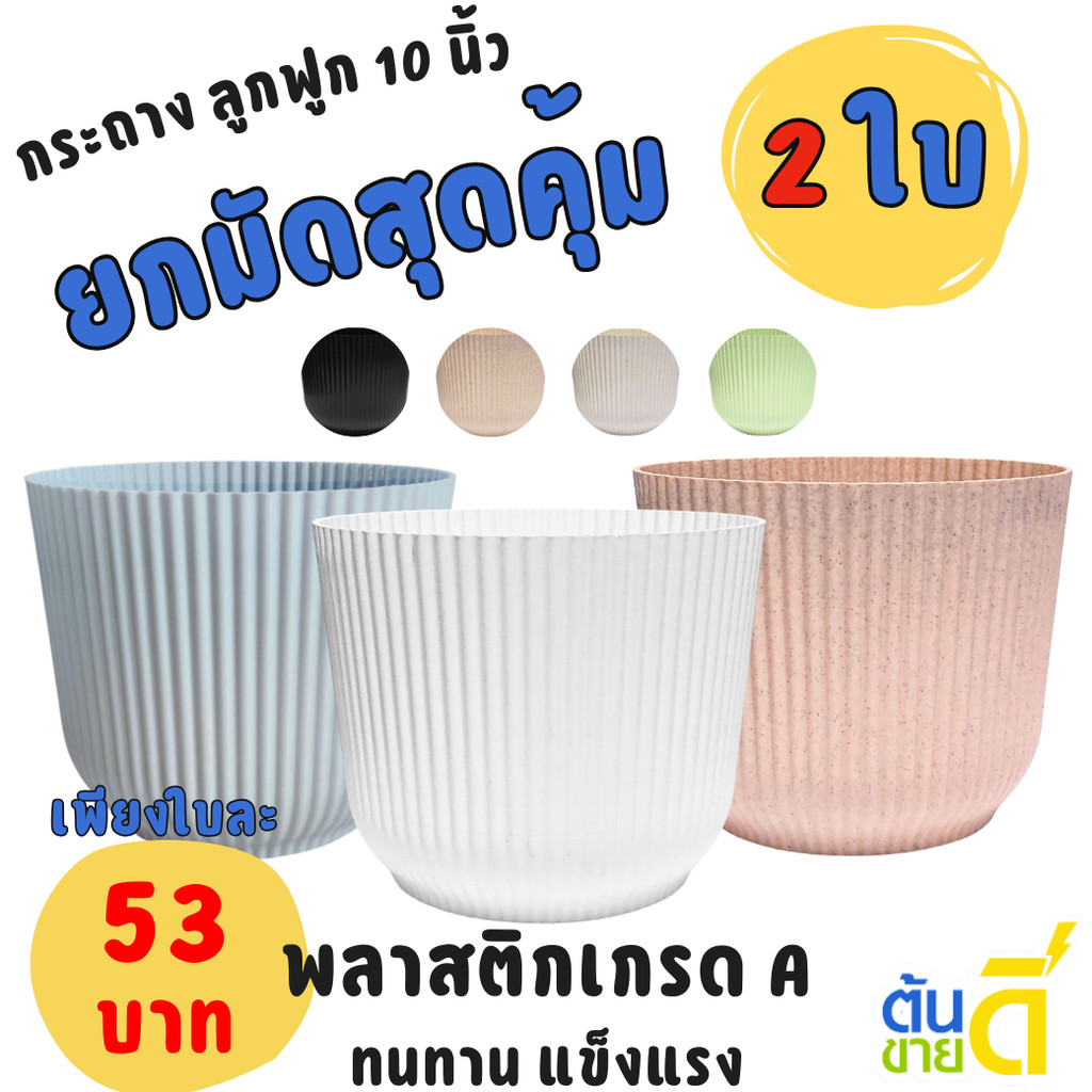 กระถาง กระถางกลม มินิมอล ขนาด 10 นิ้ว Bundle 2 ใบ ชิ้น อัน