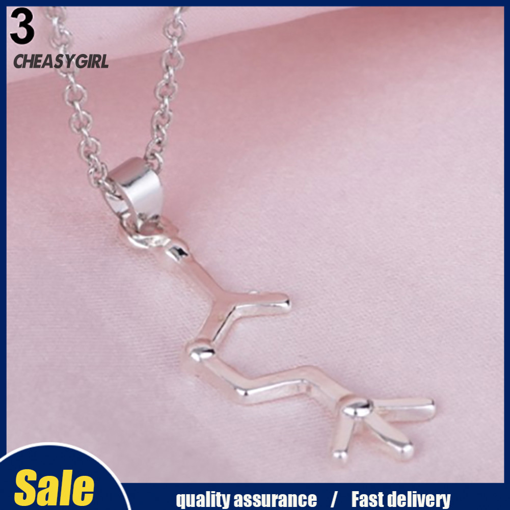 CHE DNA Serotonin Dopamine Acetylcholine Biochemistry สร้อยคอโมเลกุล