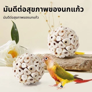 ลูกบอลรากไม้ วัสดุจากธรรมชาติ สำหรับสัตว์ฟันแทะและนก