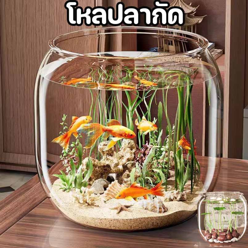 ตู้ปลา โหลปลาทอง 16/19/22cm โหลตู้ปลาทอง โหลพลาสติก ทนทาน-กันกระแทก