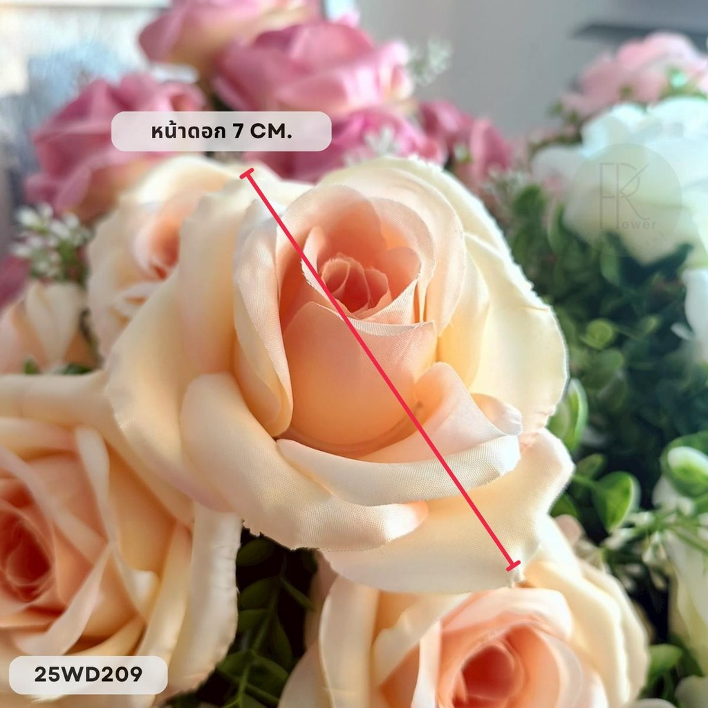 กุหลาบ 10 ดอก แซมฮอตั้น หน้าดอก 7 cm. ต้นสูง 45 cm. - รูปที่ 2