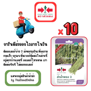 GG x 10 เมล็ดผักซองศรแดง ลำน้ำพอง ถั่วฝักยาว สินค้ายกแพ็ค