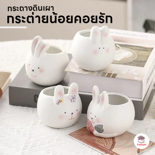กระถางดินเผา #กระต่ายน้อยคอยรัก กระถางต้นไม้ ไม้อวบน้ำ กุหลาบหิน cactus&succulentหลากหลายสายพันธุ์