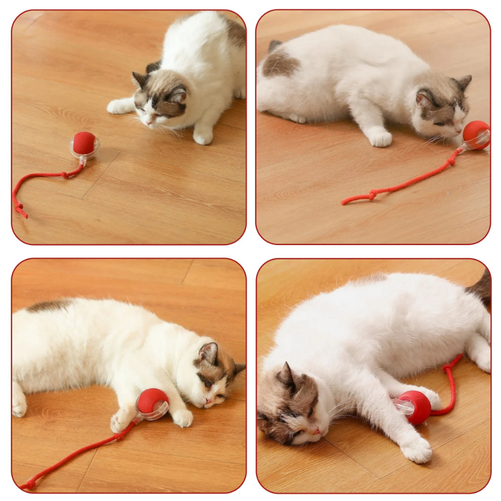 🐾ของเล่นแมว ลูกบอลแมวอัติโนมัติ สมาร์ทไฟฟ้า 360°หมุนได้ ของเล่นแมวโต้ตอบสุนัข เรืองแสง สัตว์เลี้ยง - รูปที่ 7