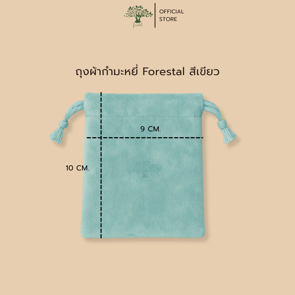 รูปภาพ 7