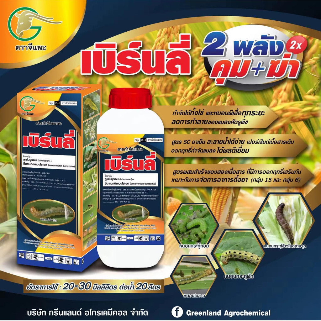 เบิร์นลี่ ขนาด 1 ลิตร . อีมาเมกติน+ลูเฟนนูรอน เนื้อครีมสูตรเย็น กำจัดเพลี้ยไฟ หนอนใยผัก หนอนกอ หนอนม้วนใบ หนอนเจาะ หนอนก