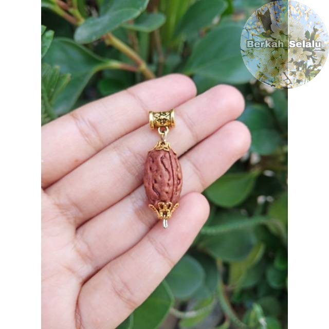 Jenitri Rudraksha Murakhi 3 Lines 3 จี้ Berkah_Alway