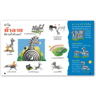 ห้องเรียน หนังสือเด็ก Why? ทำไมพวกเรารูปร่างแปลกๆ ความรู้รอบตัวสำหรับเด็ก เรียนรู้ชีวิตสัตว์โลก