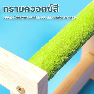 ของเล่นนก บันไดนก นกแก้ว ของตกแต่งกรง ติดตั้งในกรง