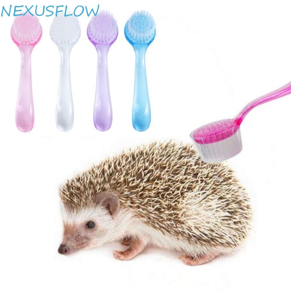 Nexusflow แปรงอาบน้ําเม่น, หัวกลมนุ่มแปรงหนูแฮมสเตอร์ขนาดเล็ก, แปรงผมนุ่มอาบน้ําแปรงมินิพลาสติกผมยาวหมีทองหวีทําความสะอาดกรูมมิ่ง