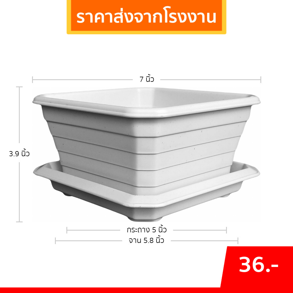 กระถาง กระถางบอนไซ กระถางสี่เหลี่ยม + จาน ขนาด 7 นิ้วเตี้ย สีดำ สีขาว สีเทา สีอิฐ Bundle 5 ใบ ชิ้น อัน