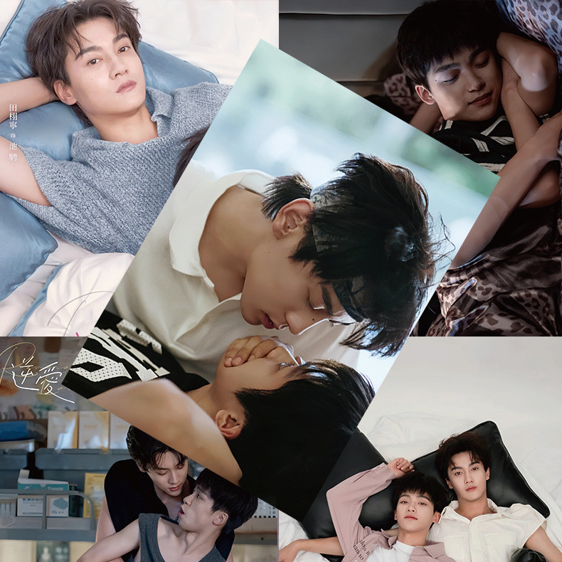 รักนี้ต้องล้างแค้น 8 ชิ้น/เซ็ต Revenged Love 田 แบตเตอรี่ chicheng แบตเตอรี่ canvas wusuowei Revenge爱