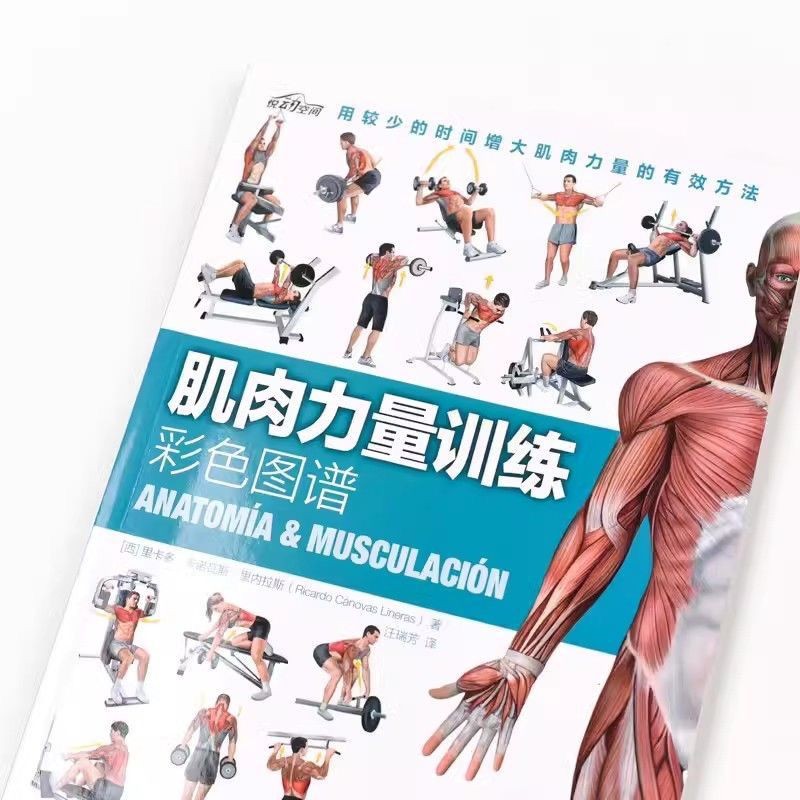 สีฝึกกล้ามเนื้อ Atlas สเปนใหม่ Harore Fitness HD Atlas Guide You In-place Muscle Strength Training C