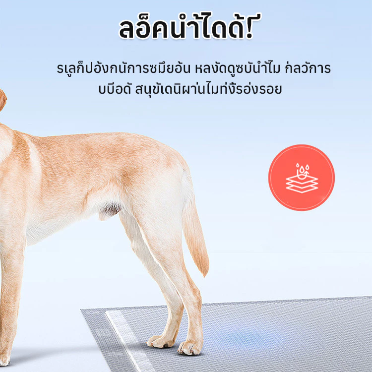 แผ่นรองฉี่สัตว์เลี้ยงซักได้ กันลื่น thumbnail 5