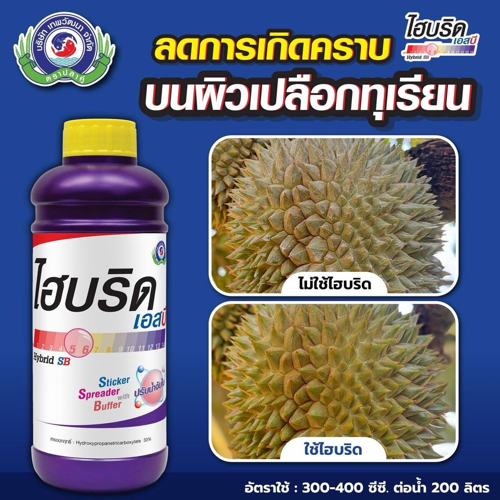 ไฮบริดเอสบี Hybrid SB สารปรับสภาพน้ำ รูปที่ 3