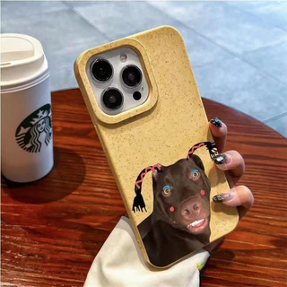 เคสโทรศัพท์มือถือ ForiPhone16 15 14 13 12 11Pro Max X XS XR7 8 14 Plus รูปแบบสุนัขตลก วัสดุ TPU สุนัขตลกประหลาดและน่ารัก