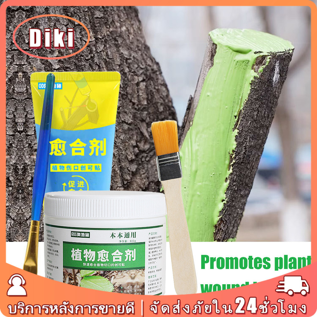 รองรับCOD！ยาทาแผลต้นไม้ ป้องกันเชื้อรา ขนาด500g ปิดแผลต้นไม้ แถมแปรง