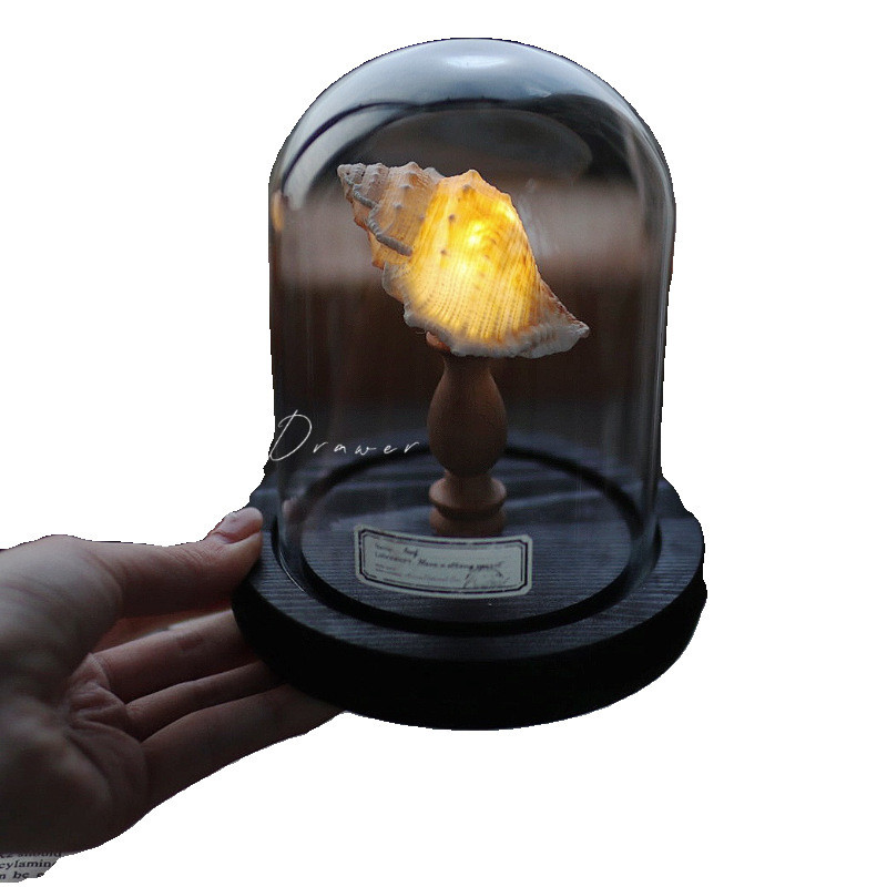 Sea Urchin Light Retro Shell Sea Urchin Conch Light Night Light ตกแต่ง Handmade สําเร็จรูปผลิตภัณฑ์ 