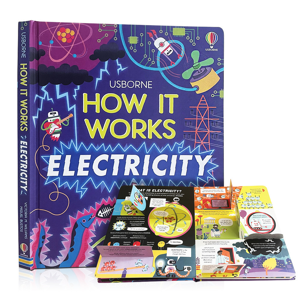 Usborne How It Works ELECTRICITY 3D Flap English Books for Kids Electricity Montessori Educational P