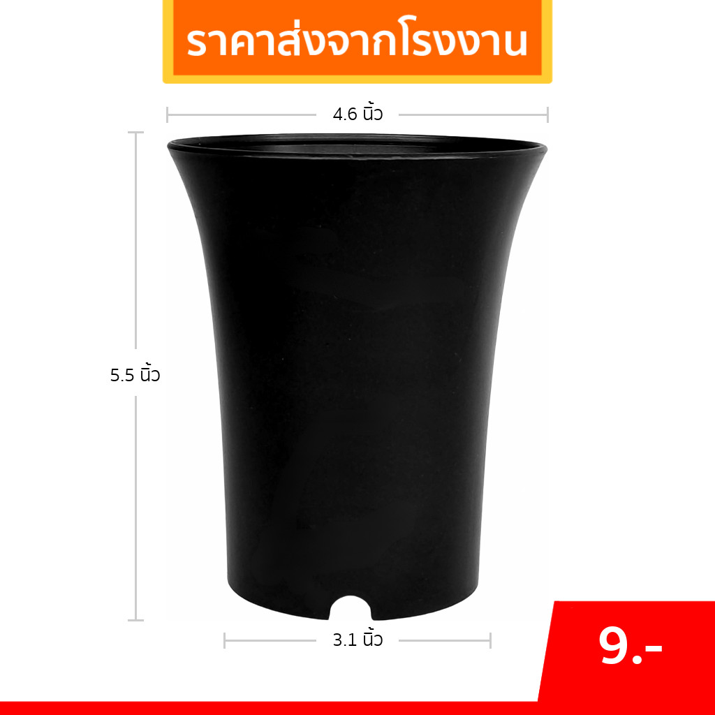 กระถาง กระถางแคคตัส กระถางปากแตร 4.5 นิ้ว สีดำ Bundle 25 ใบ