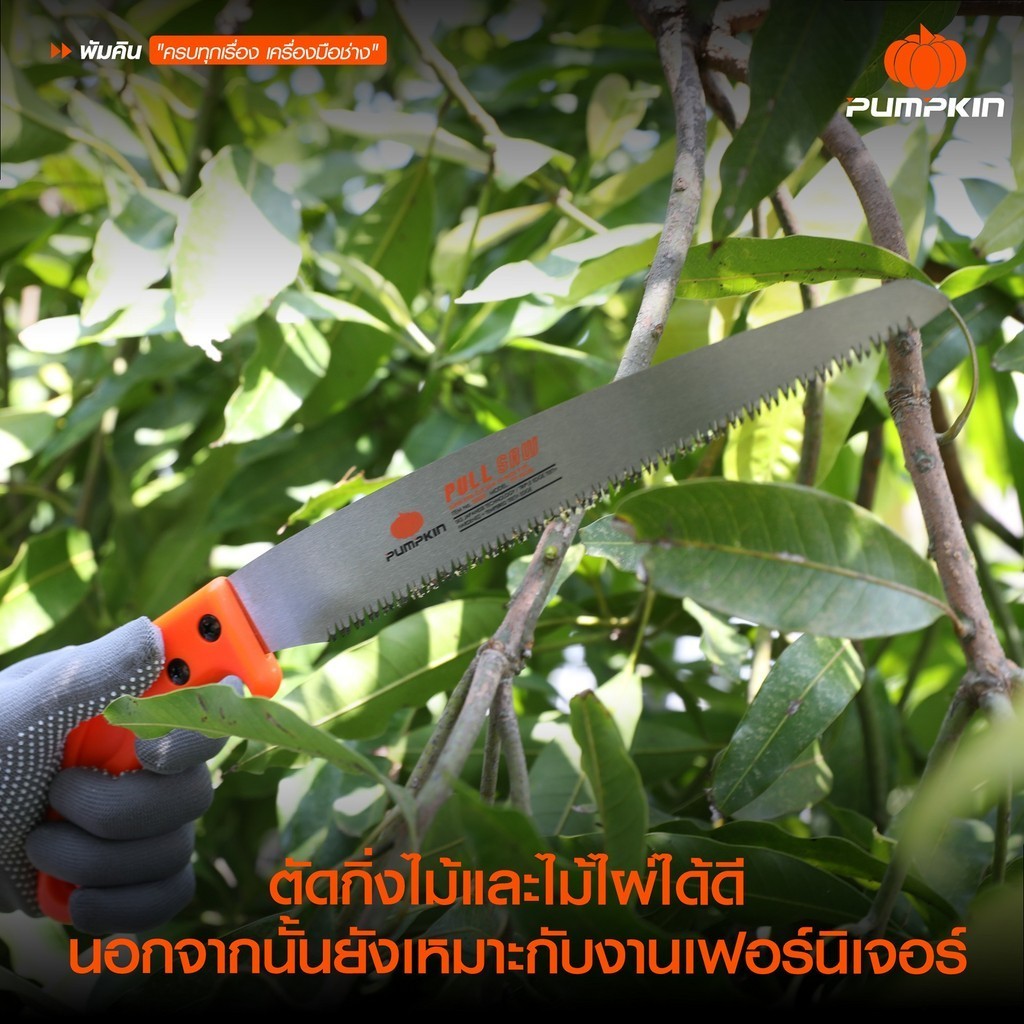 PUMPKIN เลื่อยพลูซอตัดกิ่งไม้ เลื่อยอเนกประสงค์ ใบเลื่อยตรง ขนาด 10 นิ้ว 57 มม. 33323