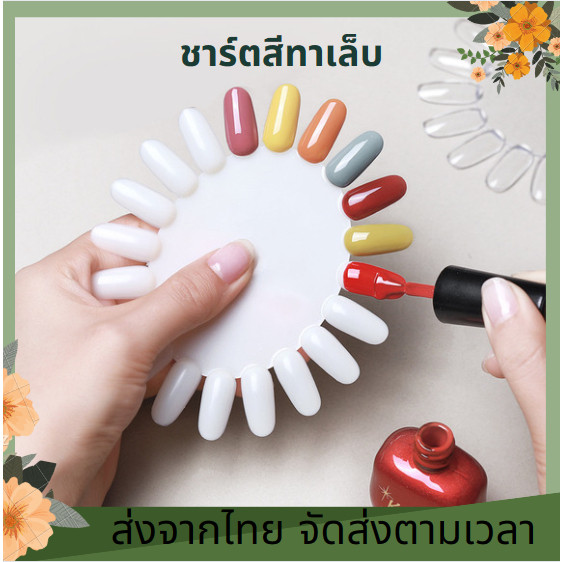 ชาร์ตโชว์สีเล็บ ชาร์ตเล็บ ชาร์ตสีเล็บแบบต่างๆ ชาร์ตโชว์สี สำหรับทำตัวอย่างสี ฝึกทาสี ฝึกเพ้นท์เล็บ