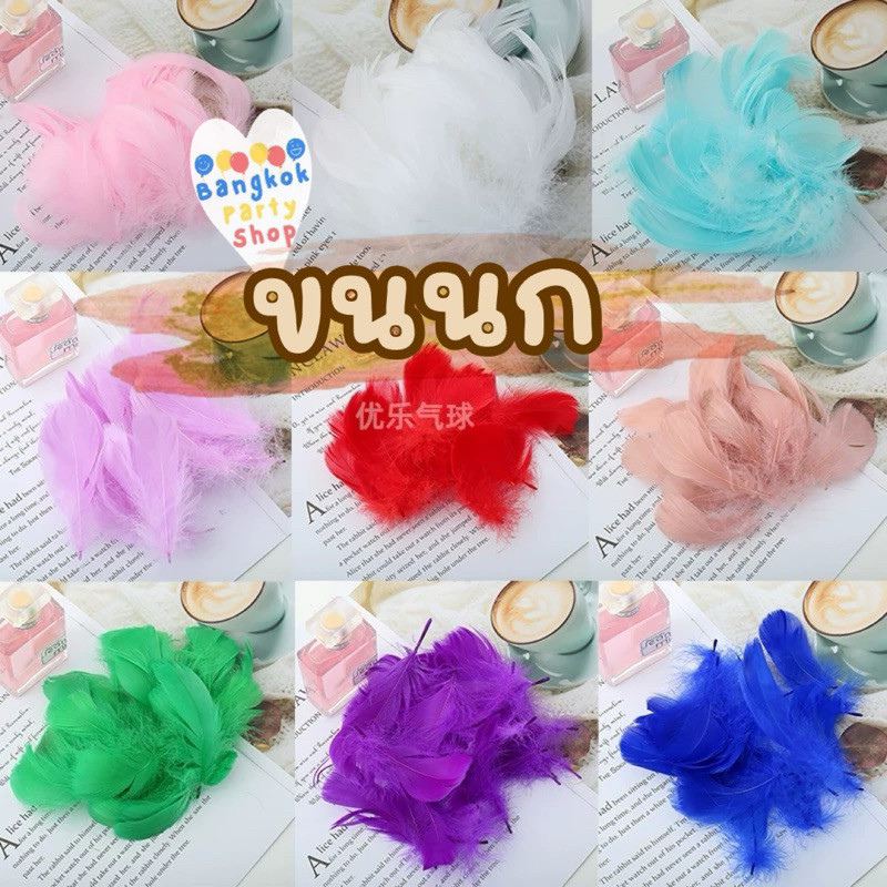 (1ถุง=100ชิ้น) ขนนก ขนนกใส่ลูกโป่ง ตกแต่งบ้าน พร็อพถ่ายรูป ใส่ลูกโป่ง อุกกรณ์ประกอบฉาก (ส่งด่วนจากกทม./ราคาถูกที่สุด)