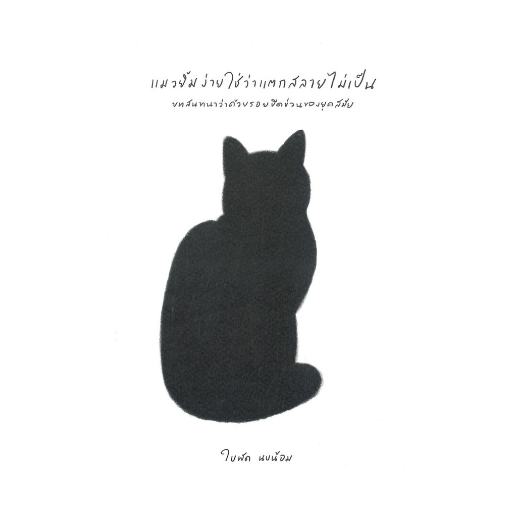 นายอินทร์ หนังสือ แมวยิ้มง่ายใช่ว่าแตกสลายไม่เป็น บทสนทนาว่าด้วยรอยขีดข่วนของยุคสมัย