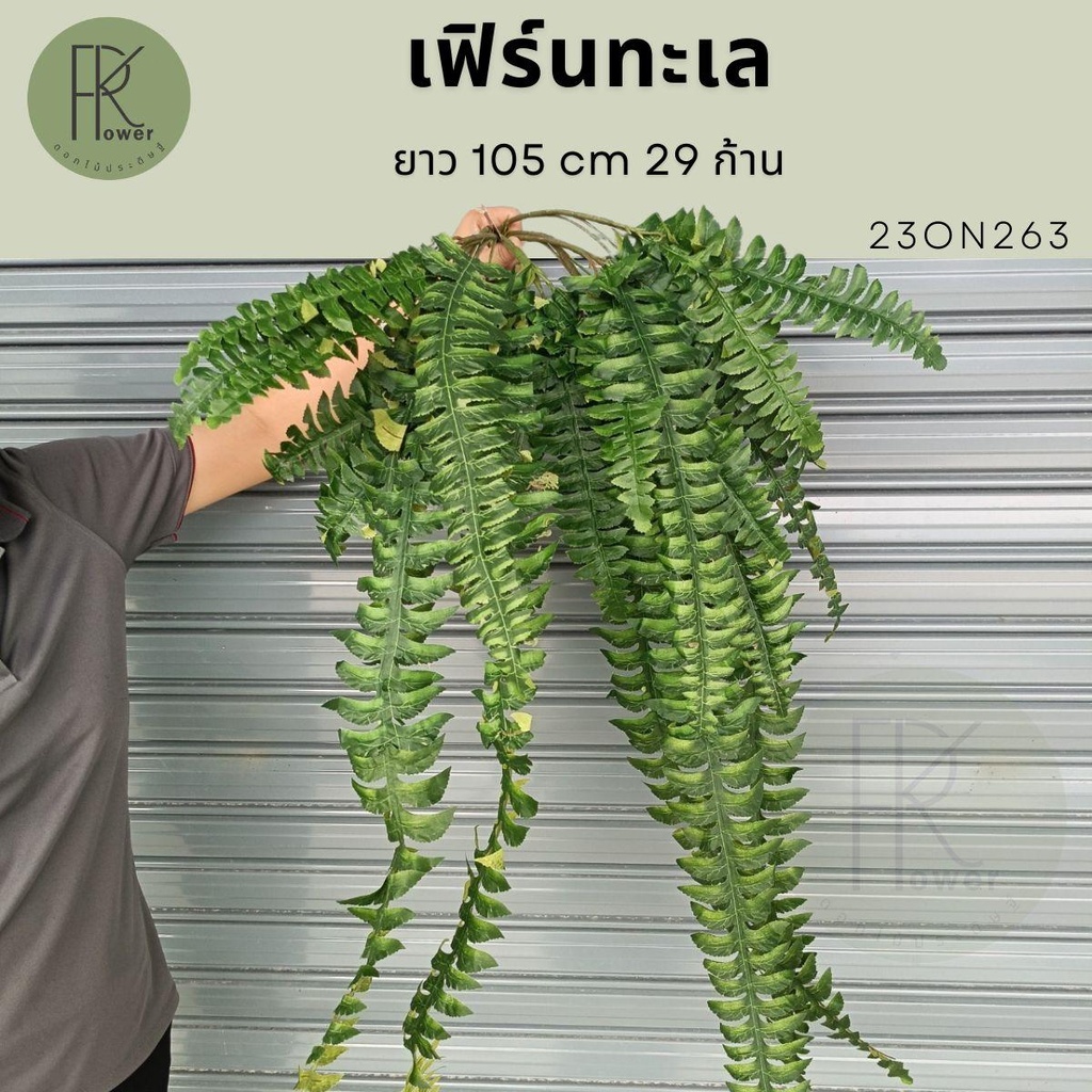 เฟิร์นทะเล29ก้าน เฟิร์นย้อย งานเฟิร์นระย้า ดอกไม้ประดิษฐ์