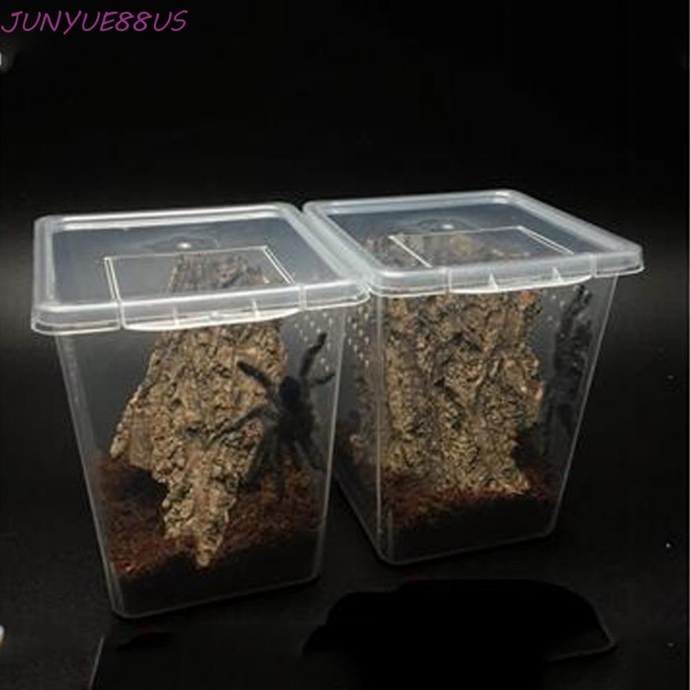 JUNYUE88US Hatching Tank มัลติฟังก์ชั่น 1PC สําหรับแมงป่อง Spider Ants พลาสติกในครัวเรือนโปร่งใส Liz