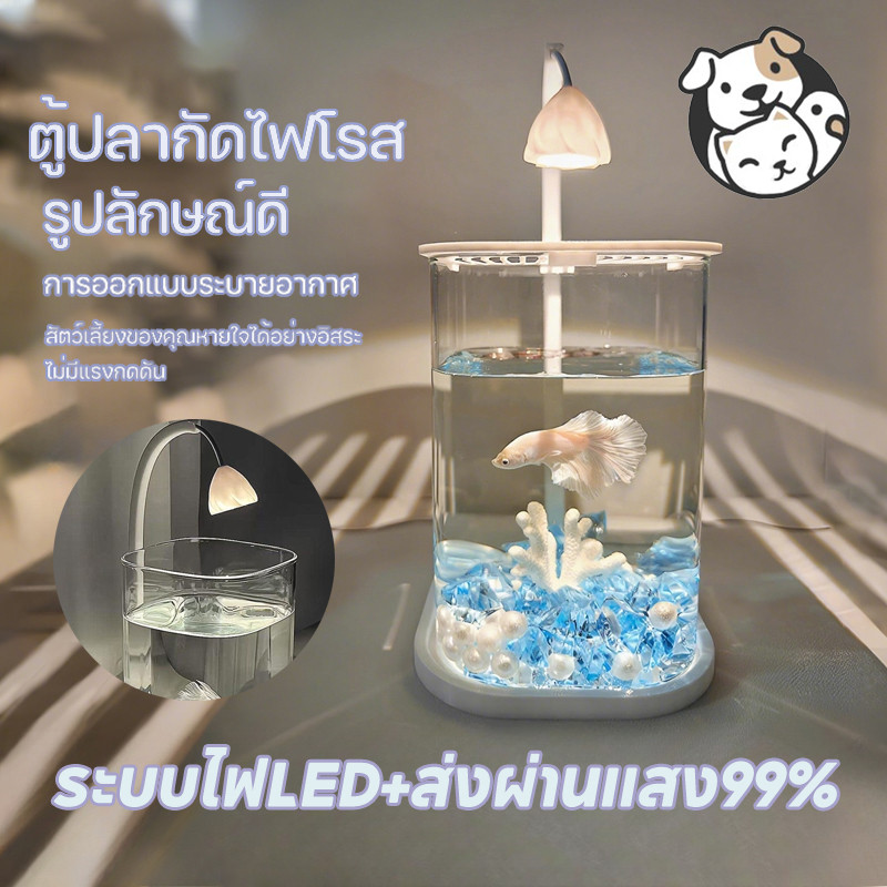 FOR_PET ตู้ปลาพลาสติกใส ตู้ปลาใหญ่ สำหรับปลากัด-ปลาสวยงาม ระบบไฟLED+ส่งผ่านแสง99% แถมฟรีน้ำแข็งคริสตัล 1kg
