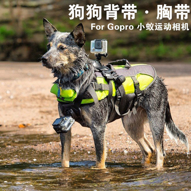 [GoPro Pet Exclusive] Action5/Ace Pro2 Universal Pet Chest Strap X2 X3 X4 Multi-Size Cat Dog Sports 