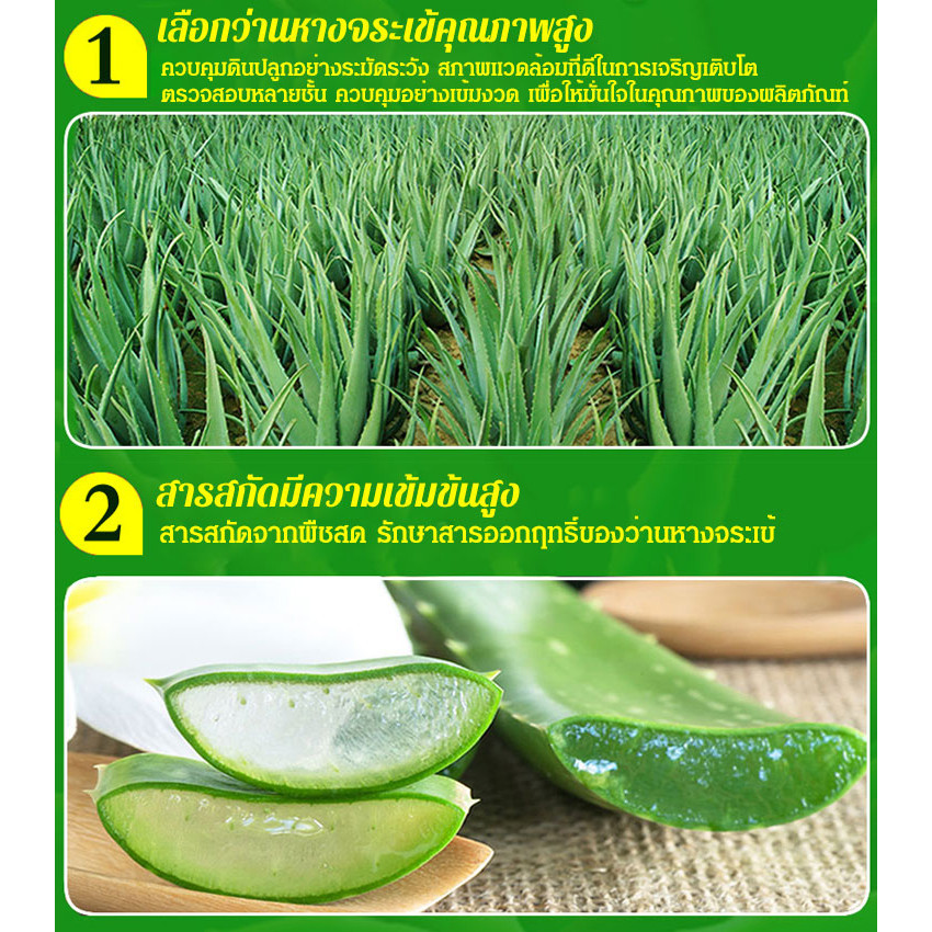 🔥Hot Sell🔥【ส่งเสริมการเคลื่อนไหวของลำไส้】 อโลเวร่า ซอฟท์เจล【促进肠蠕动】芦荟软胶囊/บรรเทาอาการท้องผูกได้อย่างมีประสิทธิภาพในระยะยาว/แคปซูลสลายไขมันและสลายไขมัน - รูปที่ 4