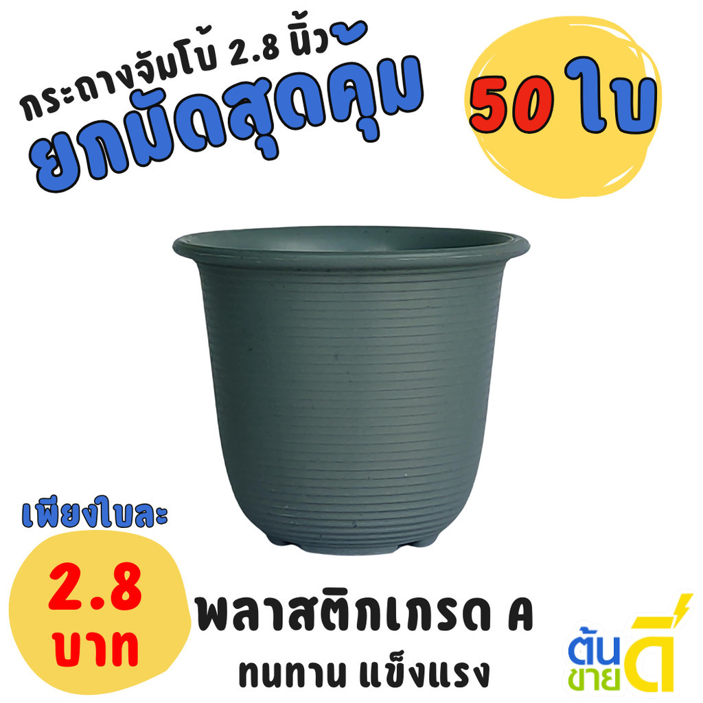 กระถาง กระถางแคคตัส เกลียว 2 2.8 3 นิ้ว สีเทา Bundle 50 ใบ ชิ้น อัน