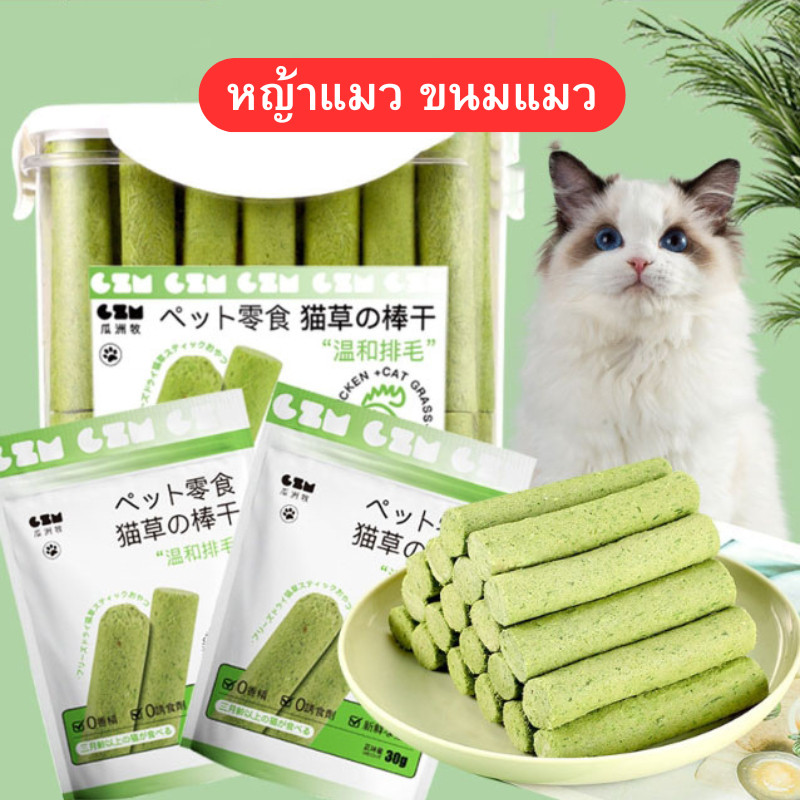 BYENJOYSHOP ปลีก/ส่ง หญ้าแมว ขนมแมว ฟรีซดราย ไม่ต้องปลูก ดีต่อสุขภาพ บำรุงขน หญ้าแมวติด เพื่อสุขภาพช่องปาก