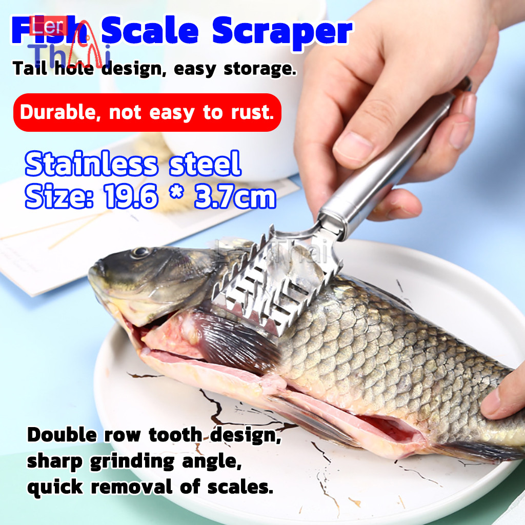 LerThai ที่ขูดเกล็ดปลา ที่ขอดเกล็ด สแตนเลส เครื่องใช้ในครัว Fish scale scraper