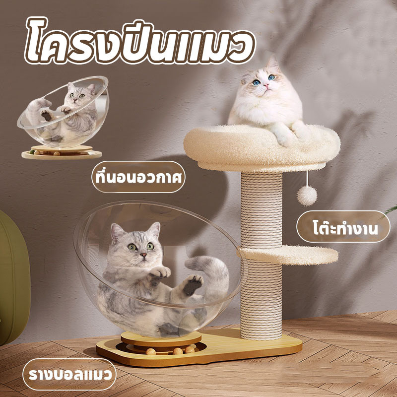 หลุมแมว ที่นอนสัตว์เลี้ยง แมวหมุนของเล่น 2in1 หลุมอะคริลิค ที่นอนอวกาศ งานไม้แข็งแรง