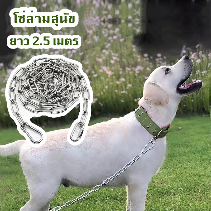 ซ่หมา 2.5เมตร ขนาดโซ่ 3มิล🐕เหล็กชุบสังกะสี โ เหมาะสำหรับสุนัข โซ่จูงสุนัข โซ่หมา โซ่ล่าม