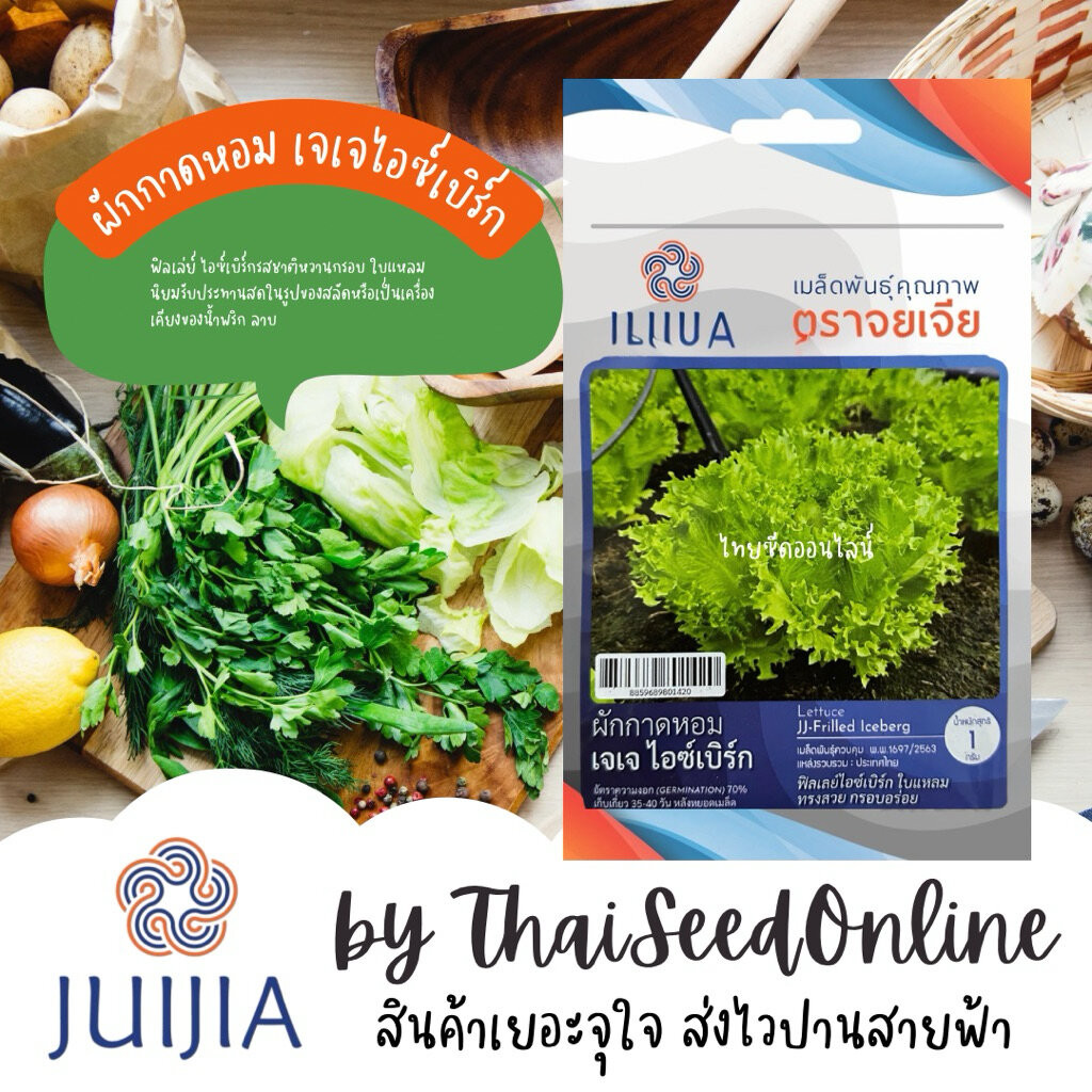 Juijia(จุยเจีย) Juijia(จุยเจีย) JJ เมล็ดพันธุ์ จุยเจียสลัด ฟิลเล่ย์ ไอซ์เบิร์ก ตราจุยเจีย Iceberg Fillet Lettuce