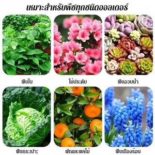 สารอาหารสำหรับพืช 18 ชิ้น / ปุ๋ยแท่ง ละลายช้า เร่งโต เร่งงาม ผลไม้ และผัก ส่งจากไทย