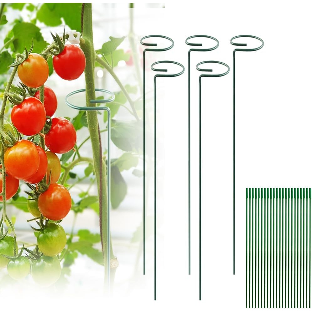 ไม้ค้ำมะเขือเทศแบบเกลียว Tomato Twist Stake เหล็ก สำหรับมะเขือเทศ กุหลาบ แตงกวา และไม้เลื้อย