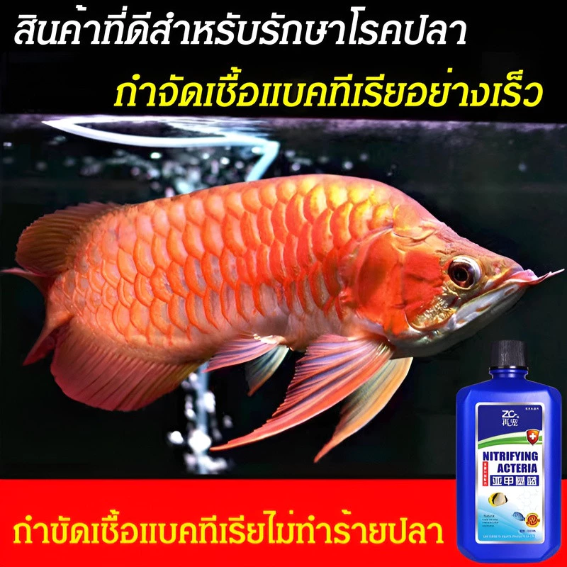 อุปกรณ์ตู้ปลา เมทิลีนบลู สารปรับสภาพน้ำ เครื่องกรองน้ำ thumbnail 8