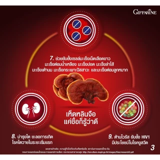 เห็ดหลินจือ แดงสกัด คุณภาพสูง กิฟฟารีน LING ZHI GIFFARINE บำรุงร่างกาย บำรุงไต ระบบภูมิคุ้มกัน