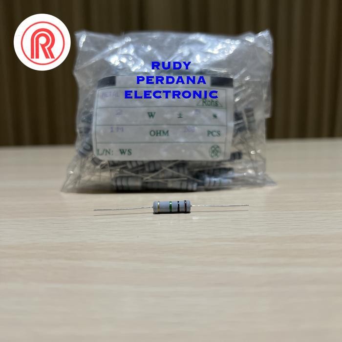 ZL99 RESISTOR 2 WATT 2W 5% 5 PERCENT 1000000 1M 1 MEGA OHM Ω