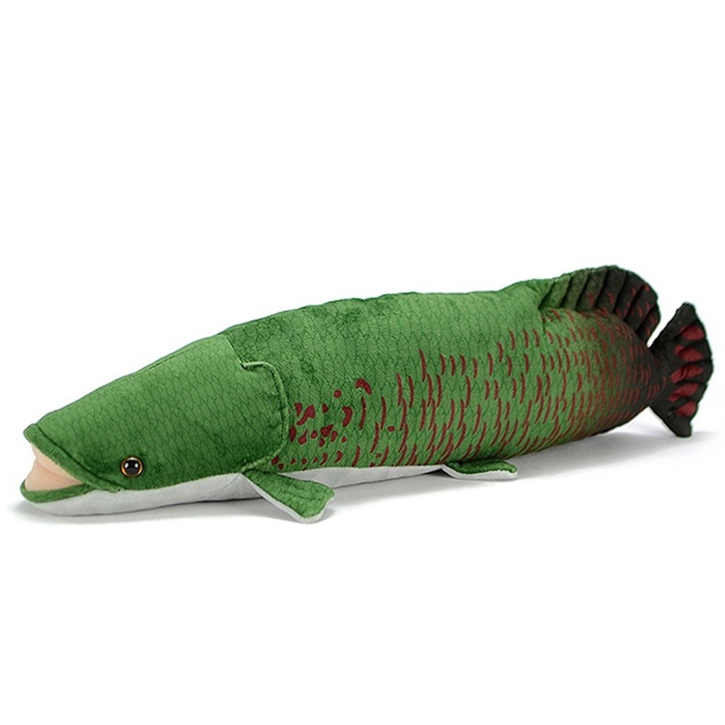 ของเล่นตุ๊กตา Arapima, 19.68 นิ้ว Arpaima Gigas ปลาตุ๊กตาสัตว์, นุ่มสีเขียว Arpaima ปลา Plushie ตุ๊กตาสําหรับของเล่นเด็ก, ของขวัญสําหรับเด็ก